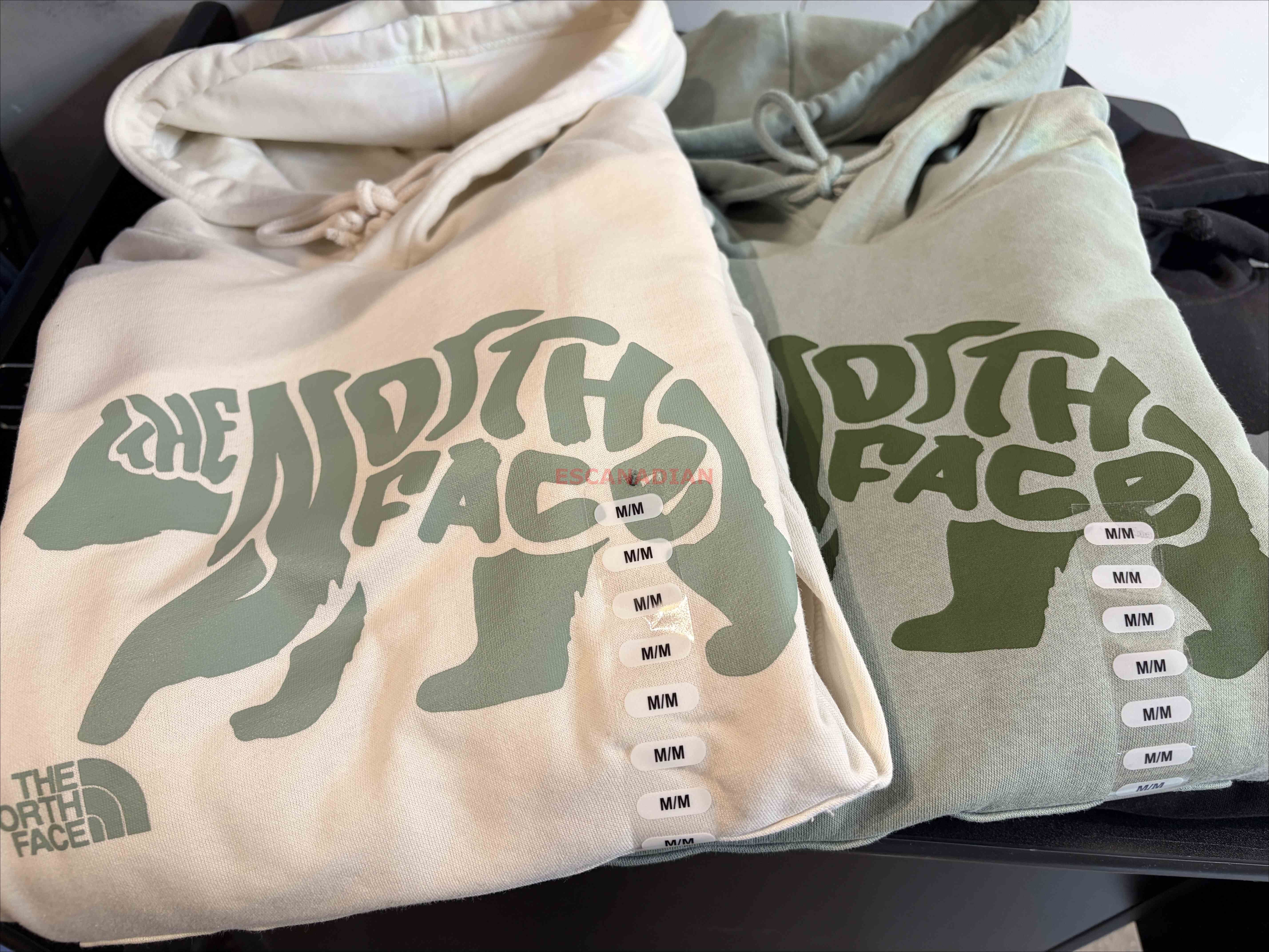 THE NORTH FACE 男大人 造型字樣 熊圖案 刷毛 帽TEE (3色)