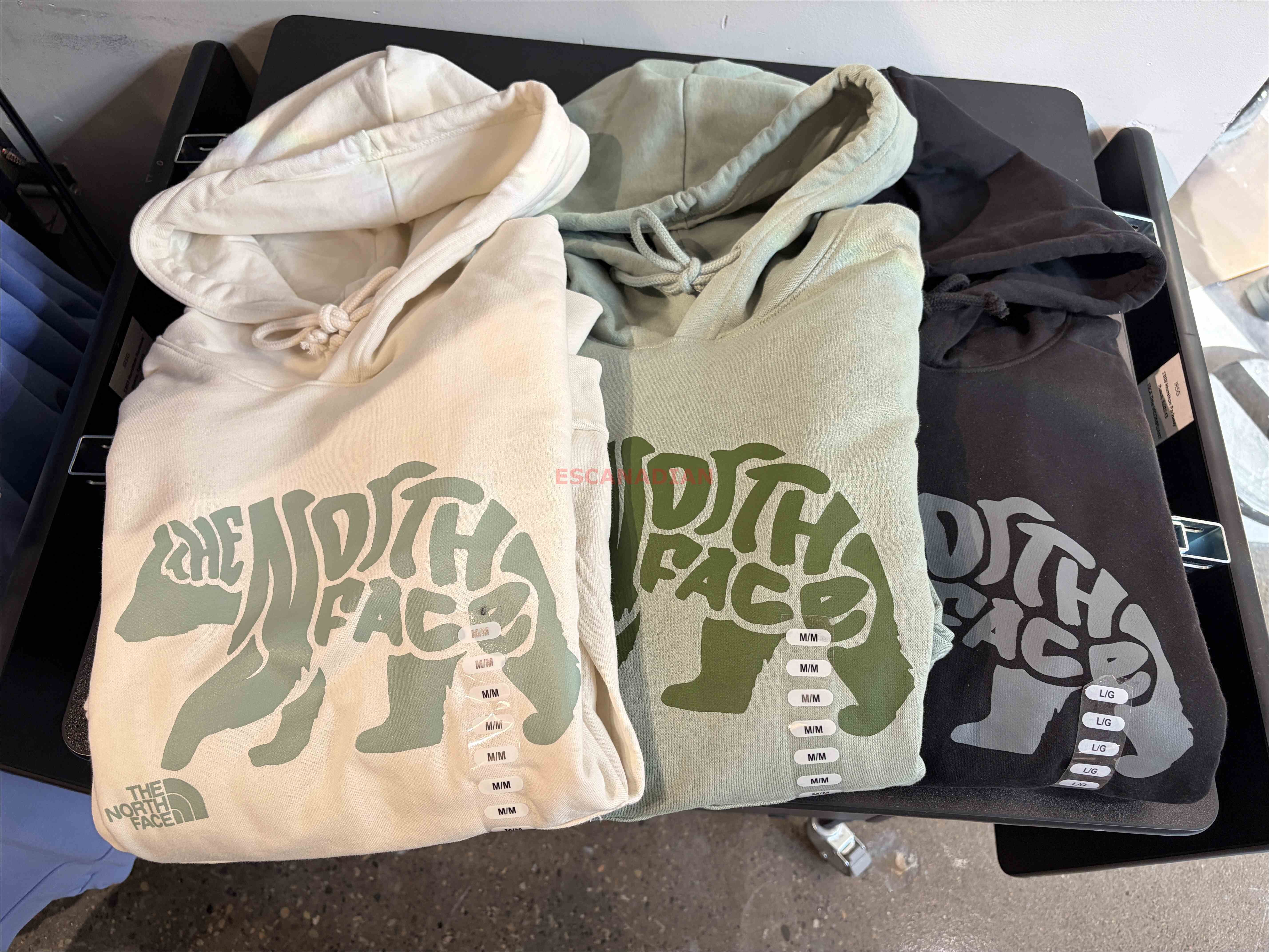 THE NORTH FACE 男大人 造型字樣 熊圖案 刷毛 帽TEE (3色)