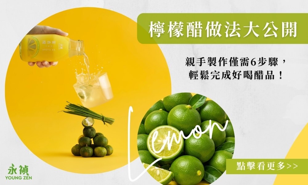 檸檬醋做法大公開, 檸檬醋做法推薦, 檸檬醋做法