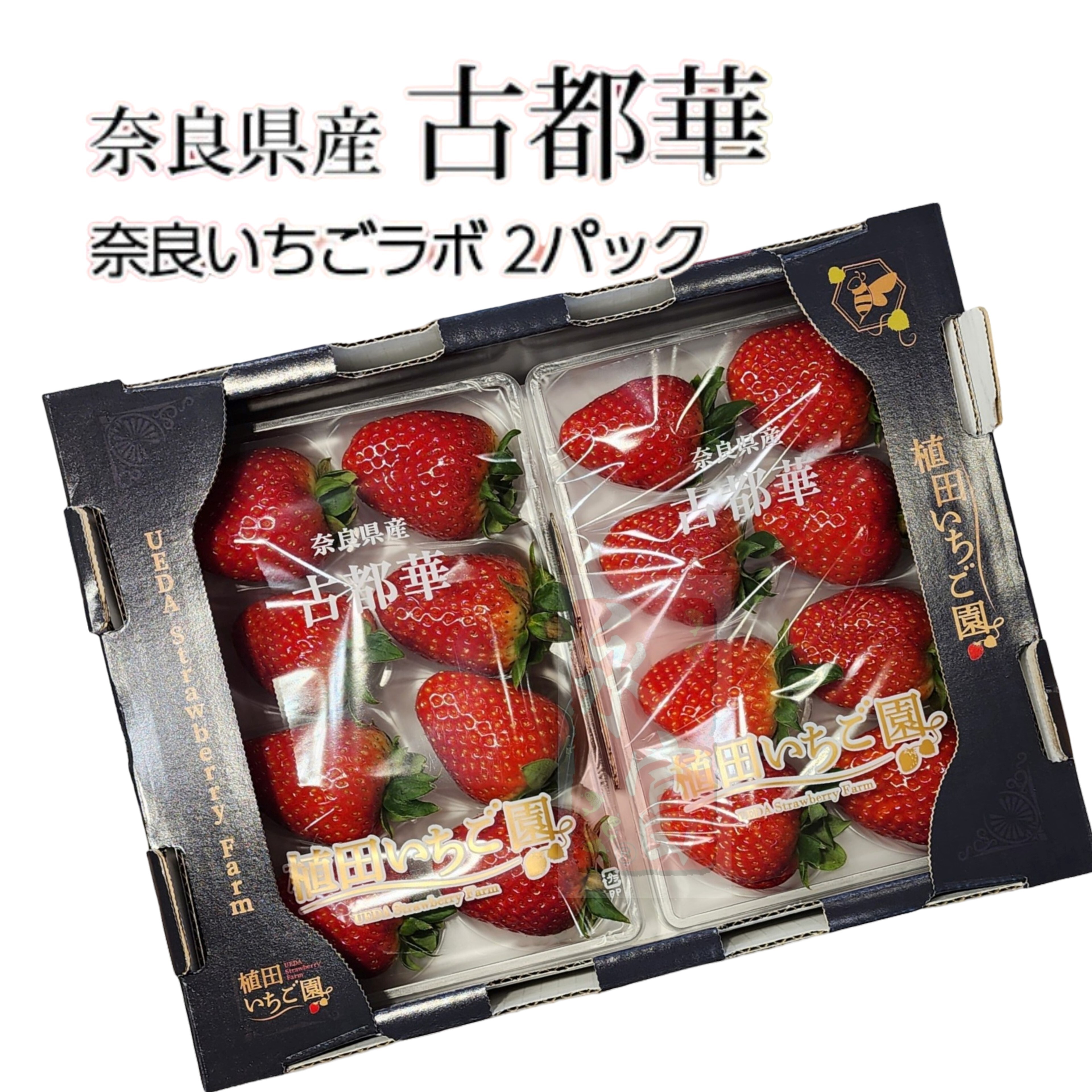 日本奈良縣古都華士多啤梨(4L)-1盒