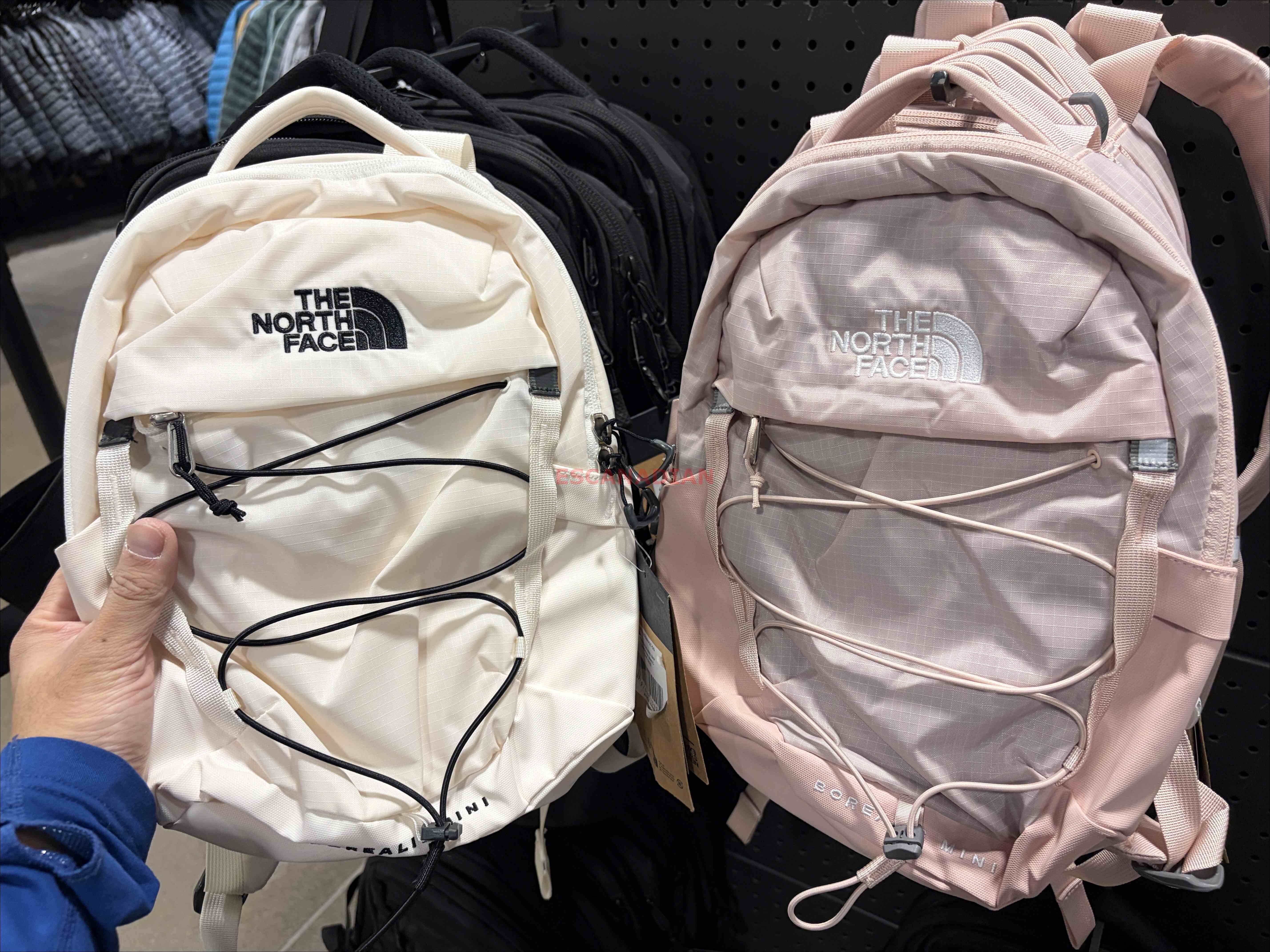 THE NORTH FACE Mini Borealis 後背包 (2色)