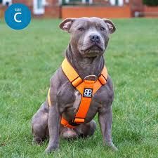 BULLYBILLOWS ｜TRI-HARNESS® H型防暴衝胸背