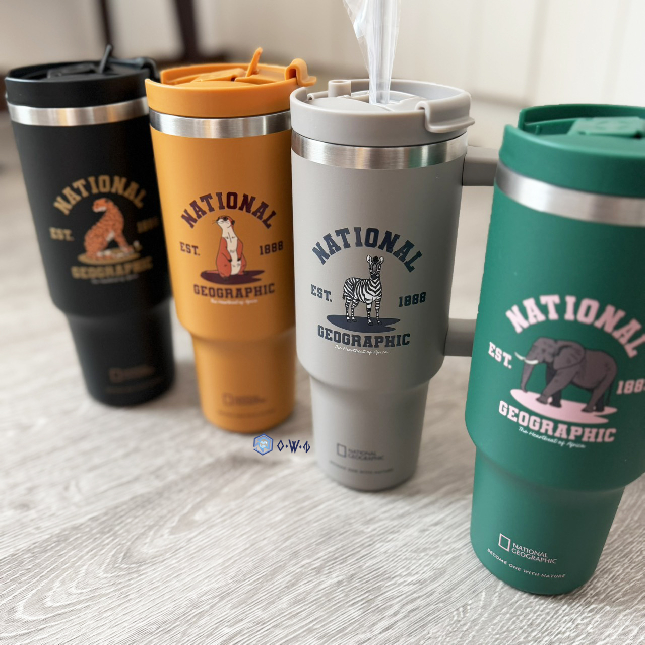 【OWN】NATIONAL GEOGRAPHIC 國家地理 保溫杯 保冷 26SS 春夏新品 野生動物 900ML 304不鏽鋼 杯子 大容量 吸管 Black Grey Brown Green