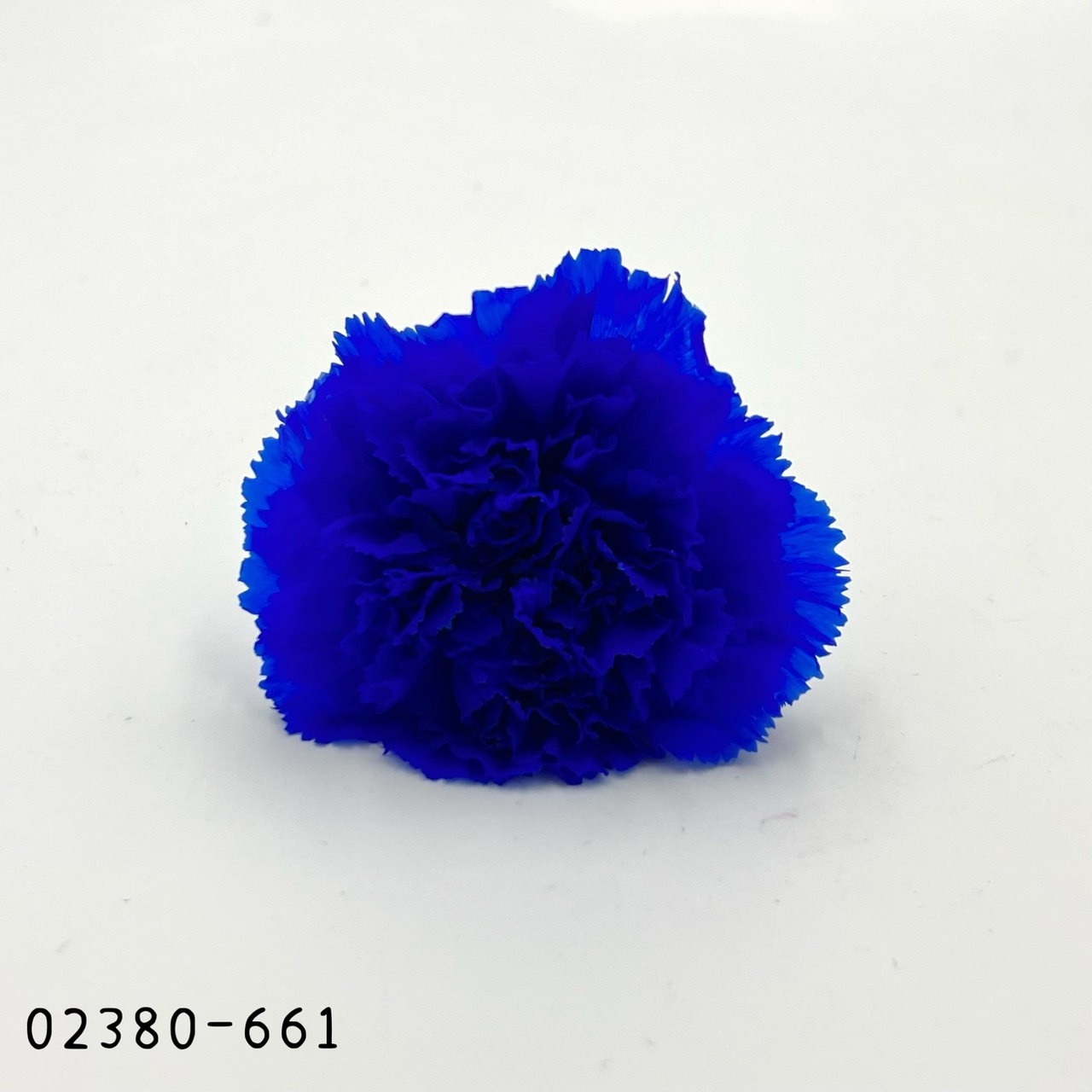 日本不凋大輪康乃馨(8朵) 02380-661