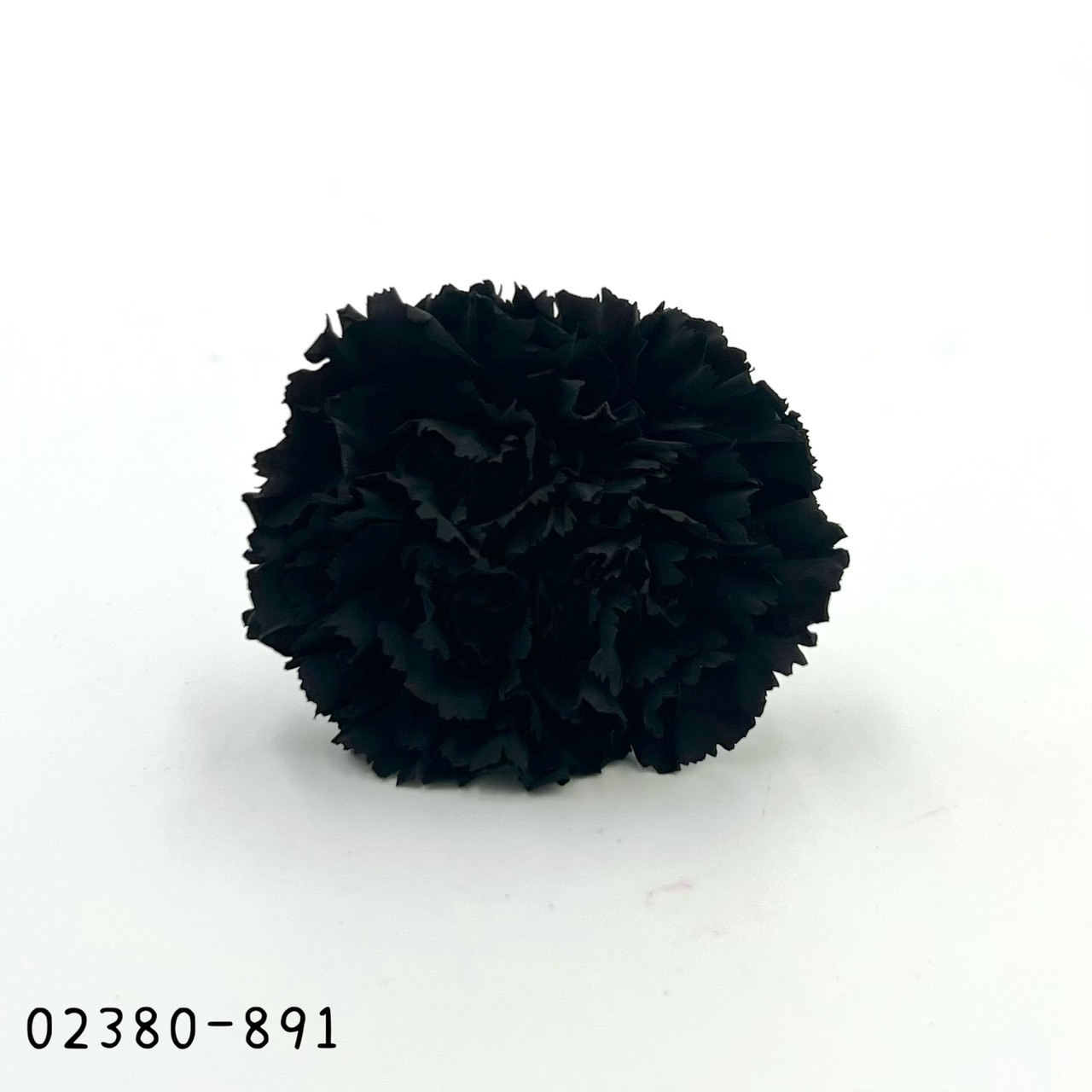 日本不凋大輪康乃馨(8朵) 02380-891