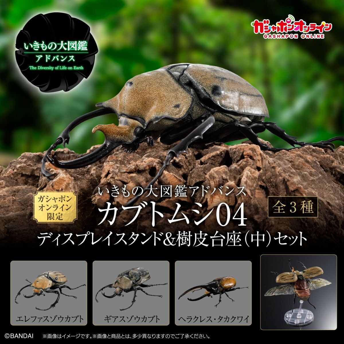 [魂SHOP限定 GOL] 生物大圖鑑 由蟲 04 展示支架 &  中型樹皮底座 套裝 [GOL]THE DIVERSITY OF LIFE ON EARTH ADVANCE BEETLE 04 DISPLAY STAND & BARK PEDESTAL (MEDIUM) SET