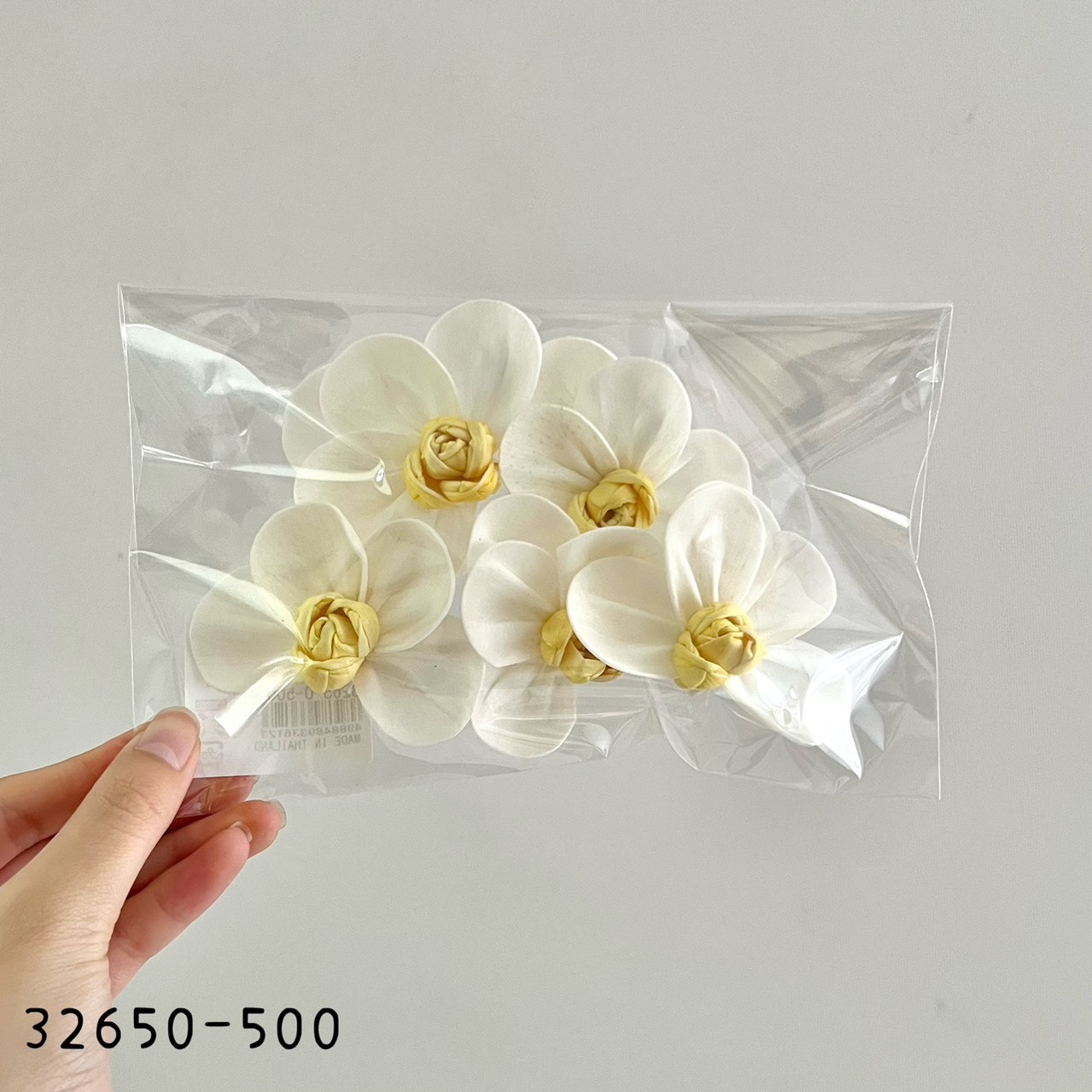 日本索拉蝴蝶蘭32650-500