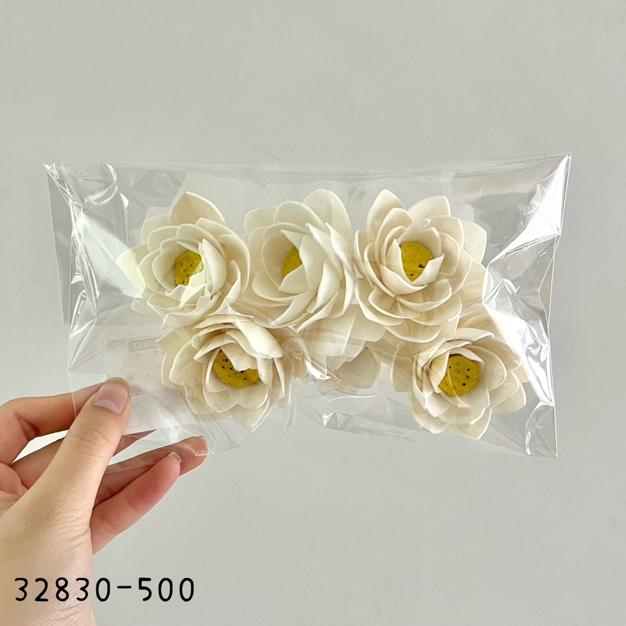 日本索拉蓮花 32830-500