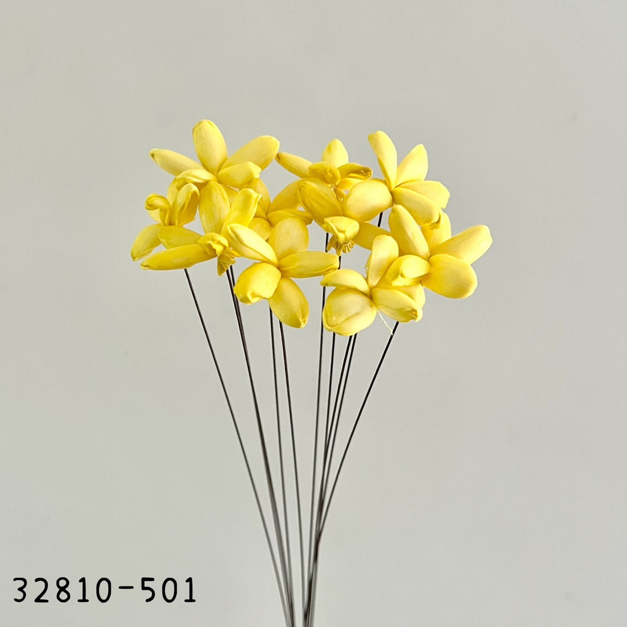 日本索拉茉莉花 32810-501