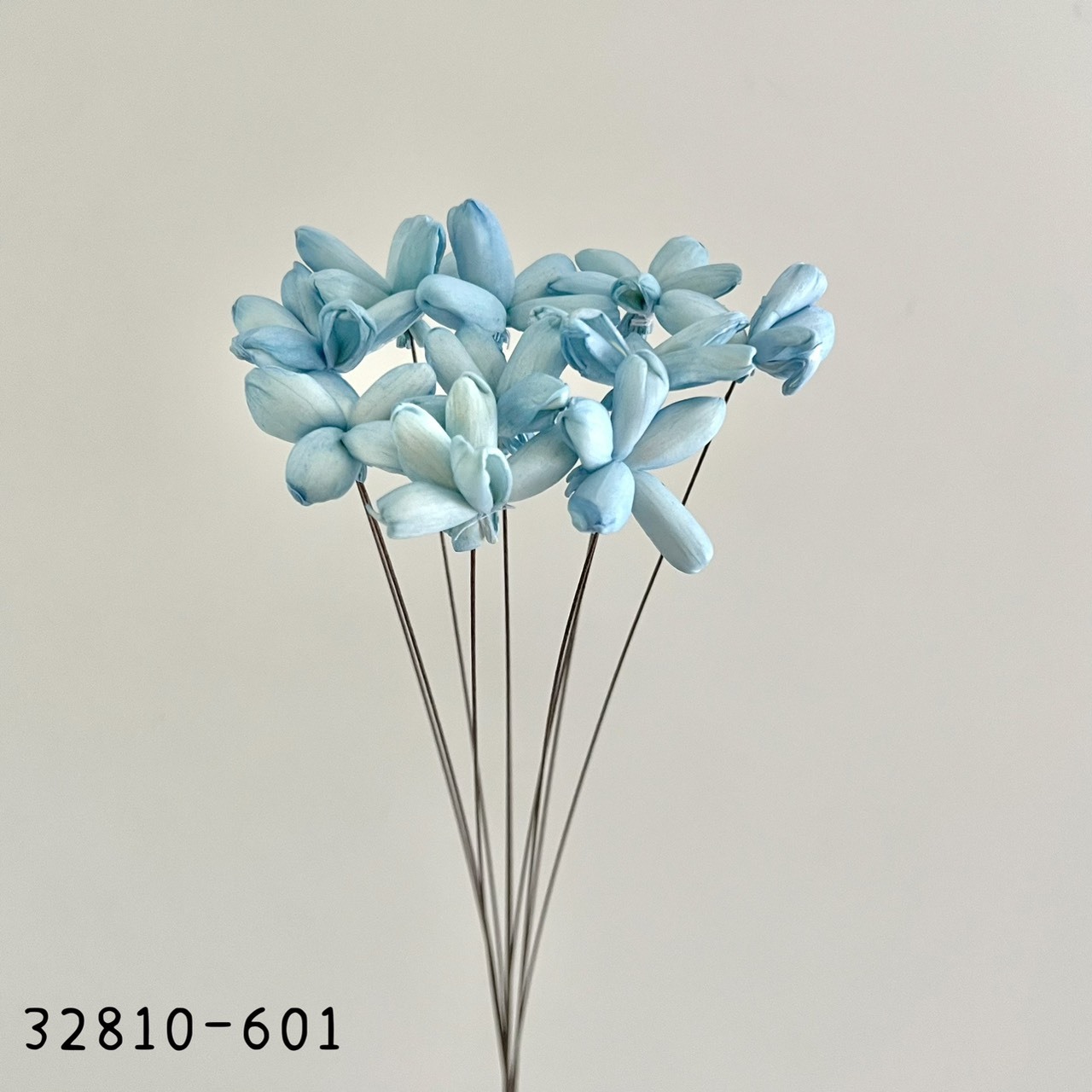 日本索拉茉莉花 32810-601