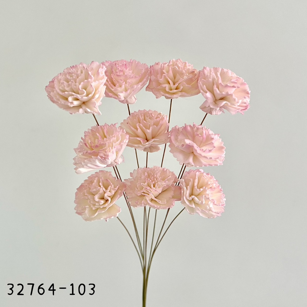 日本索拉漸層康乃馨32764-103