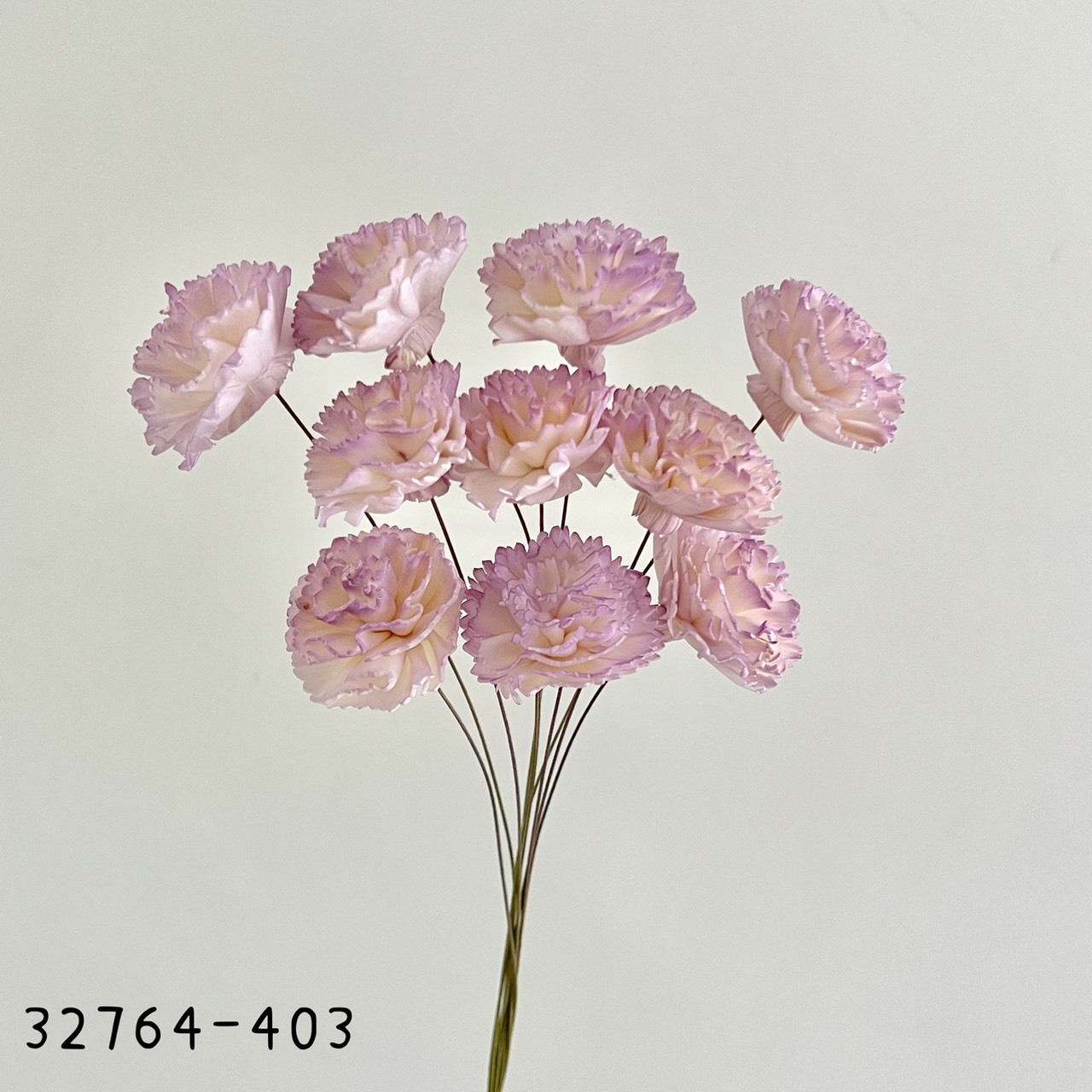 日本索拉漸層康乃馨32764-403