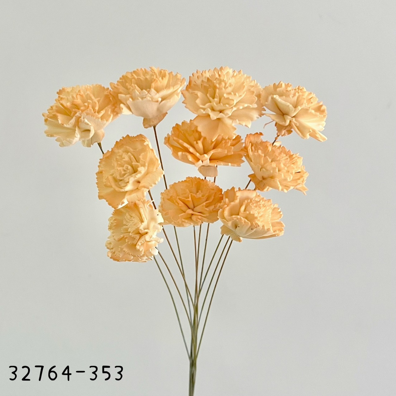 日本索拉漸層康乃馨32764-353