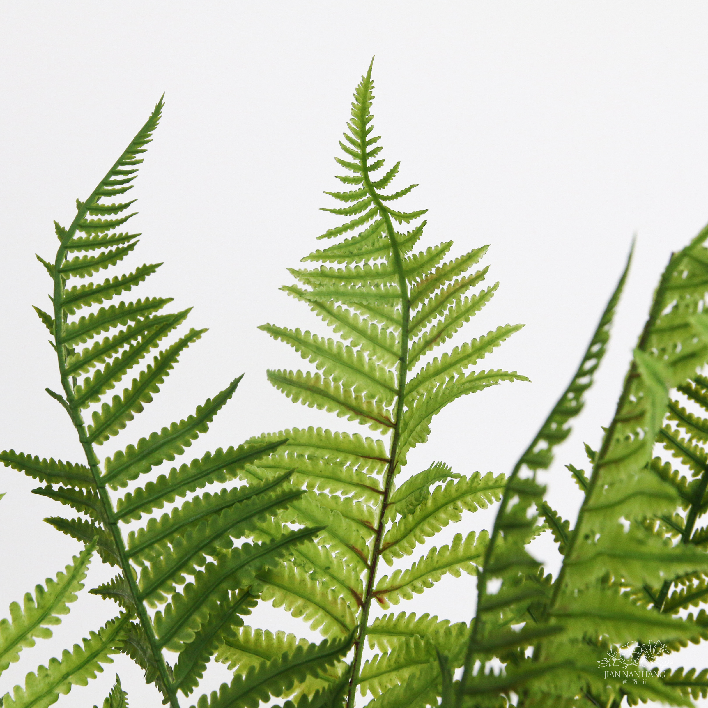 人造葉 12葉大蕨葉 綠