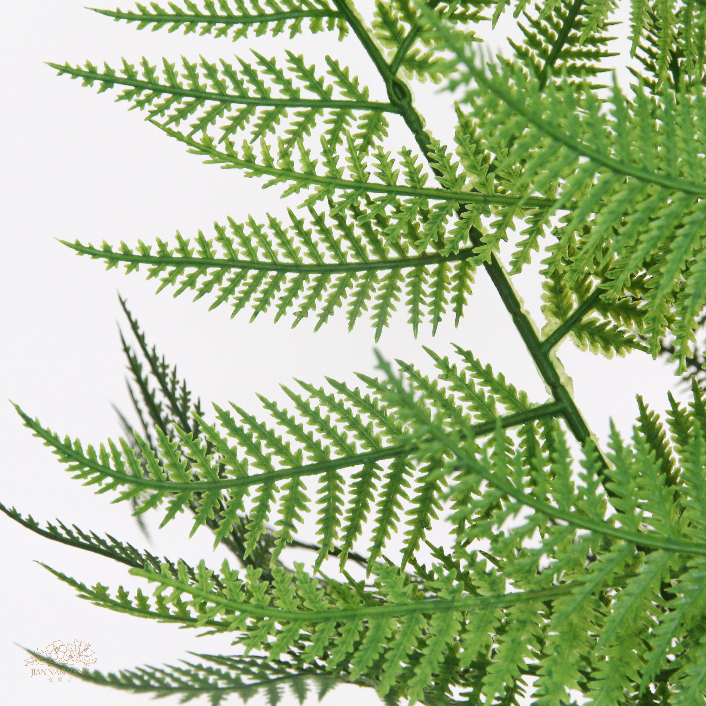 人造葉 12葉虎耳蕨 2色