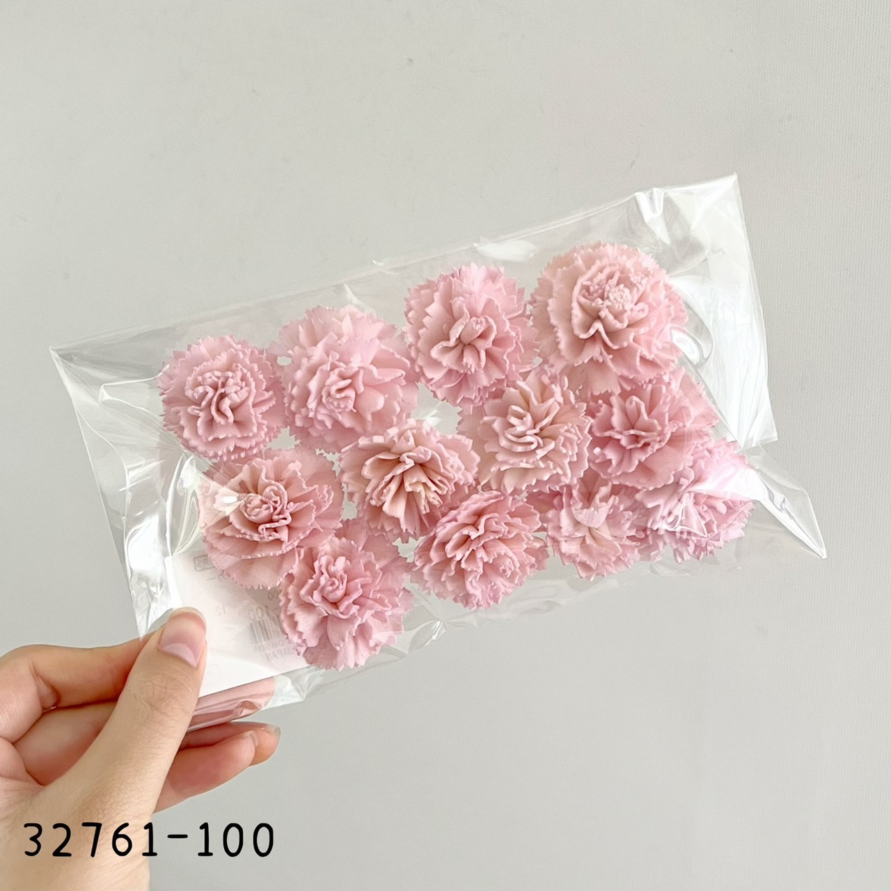 日本索拉康乃馨花頭 32761-100