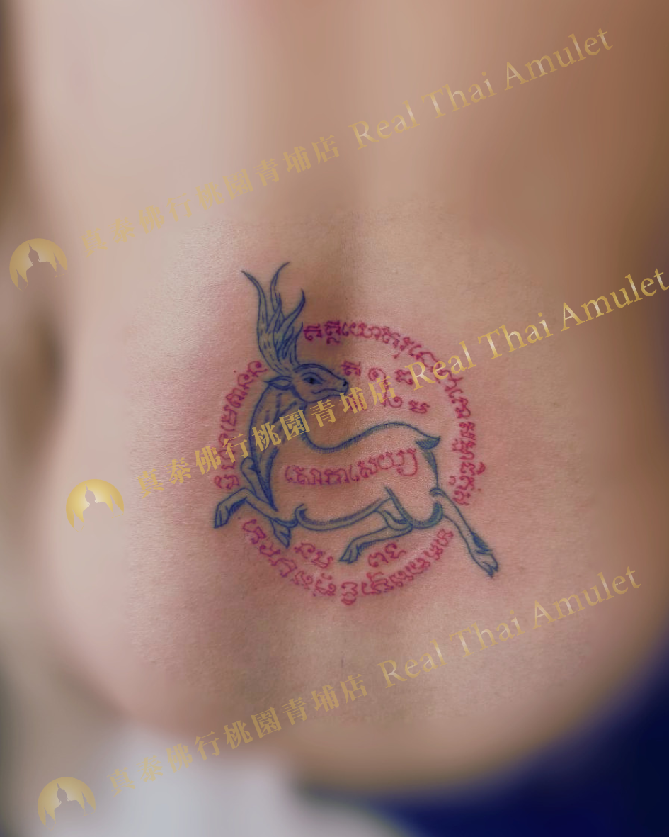 好感度100分｜回頭鹿