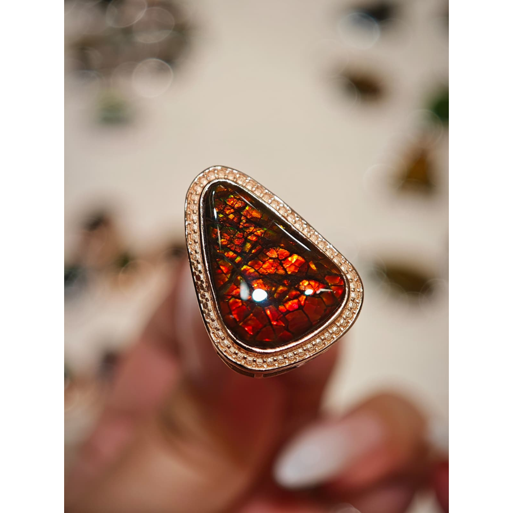 HKAG0328-012 招財盒子路路通 (A12)