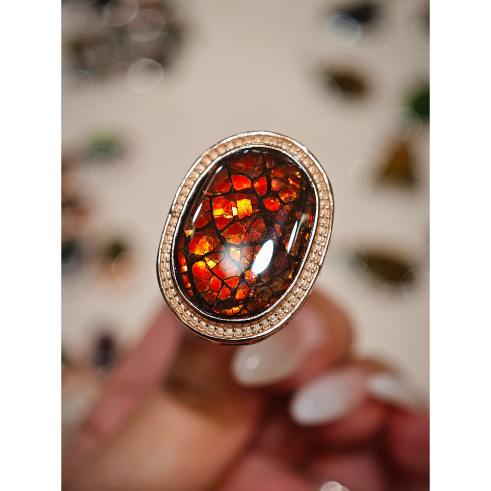 HKAG0328-008 招財盒子路路通 (A8)