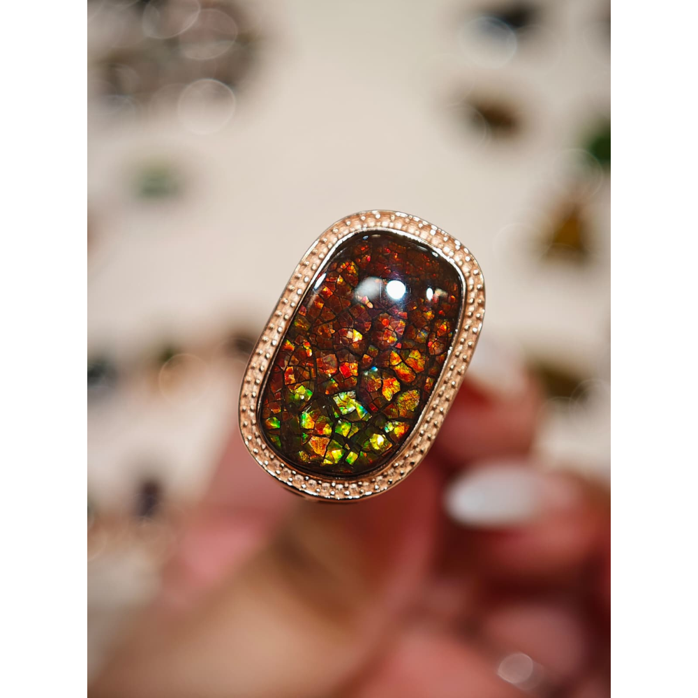 HKAG0328-011 招財盒子路路通 (A11)