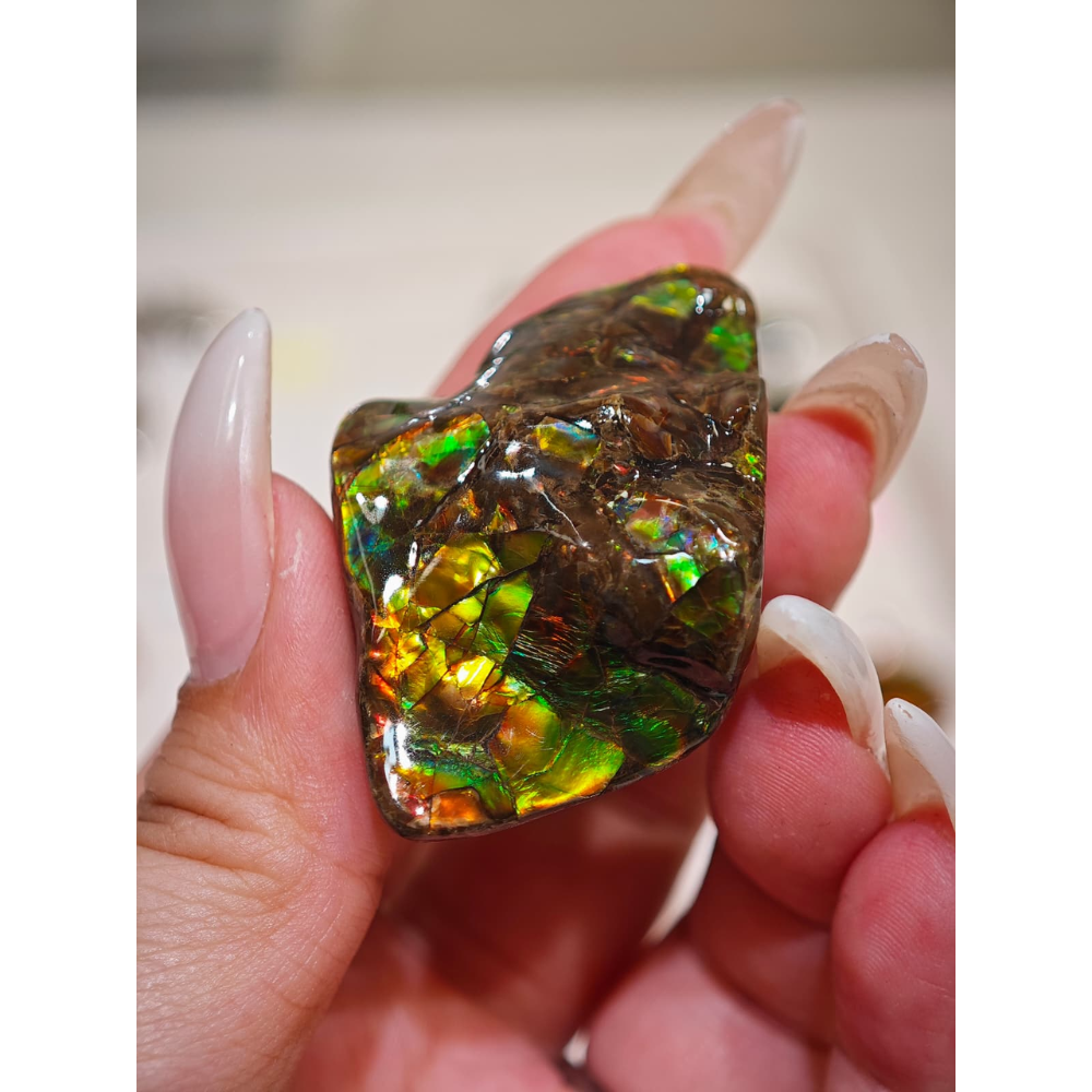 HKAG0328-041 小水牛 (A41)