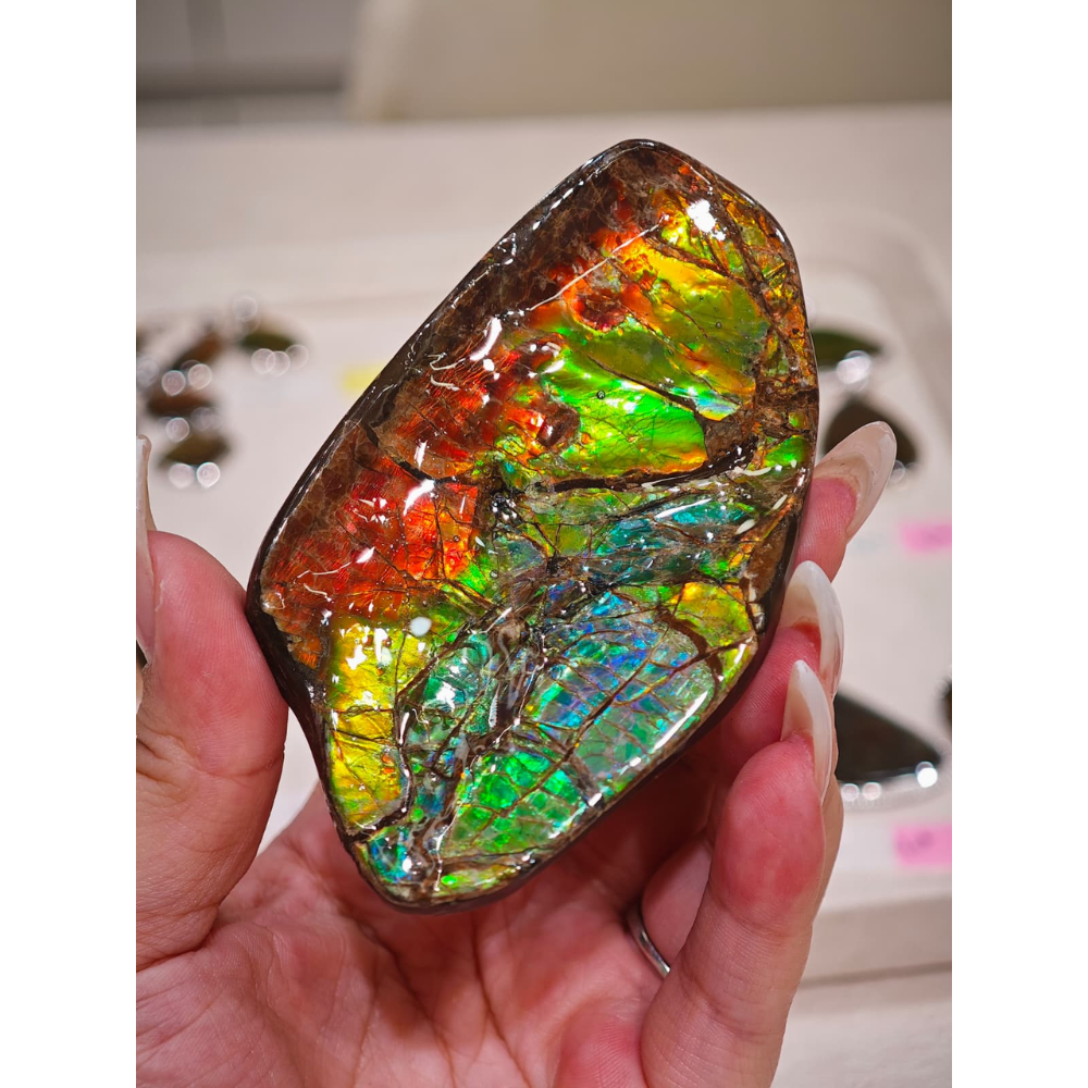 HKAG0328-043 多彩大擺件聚寶盆 (A43)