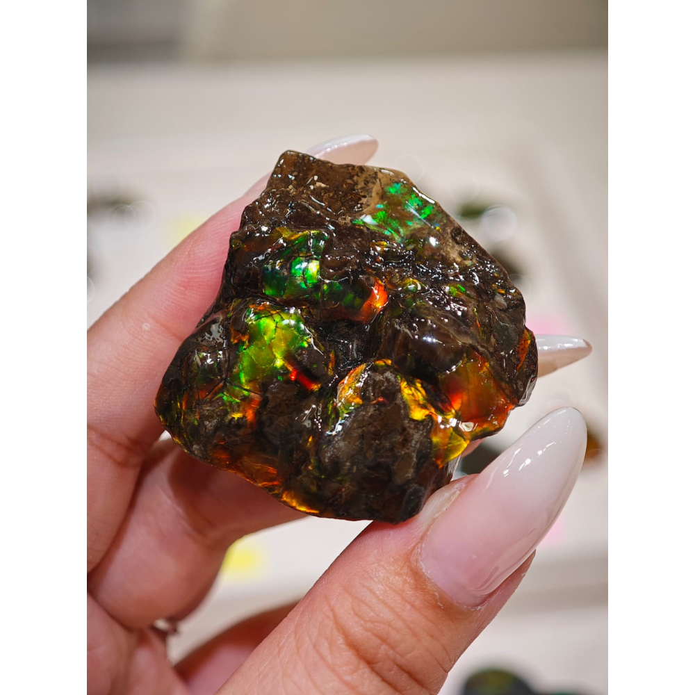 HKAG0328-042 小水牛 (A42)