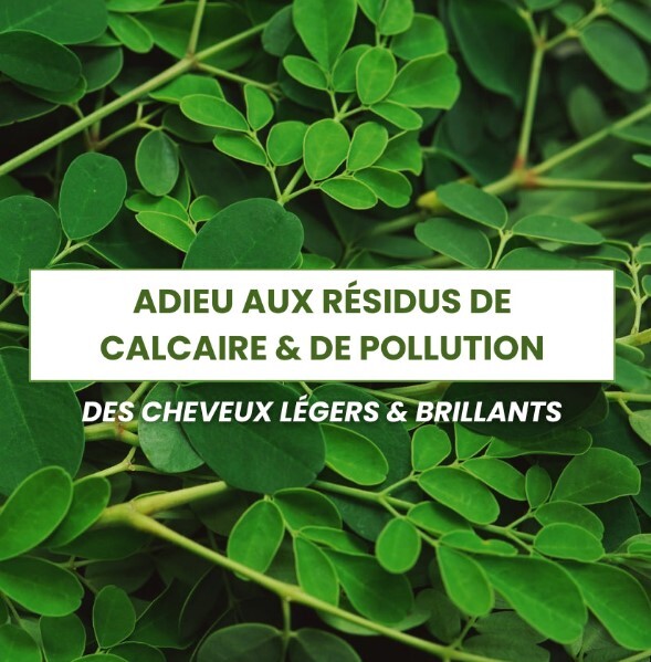 1MS0329-014 [MON SHAMPOING] Detox Shampoo 300ml (EU)