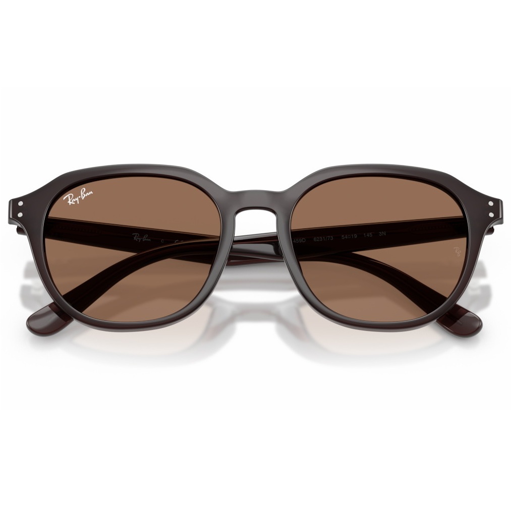 【RayBan】RB4459D 623173-54mm 太陽眼鏡♦