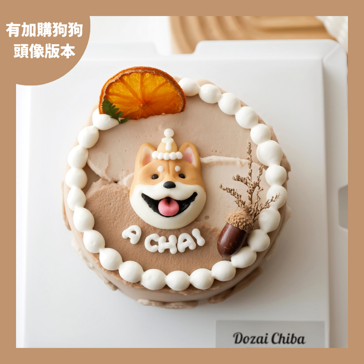 ꒰ 棕色系꒱ 橙光森林