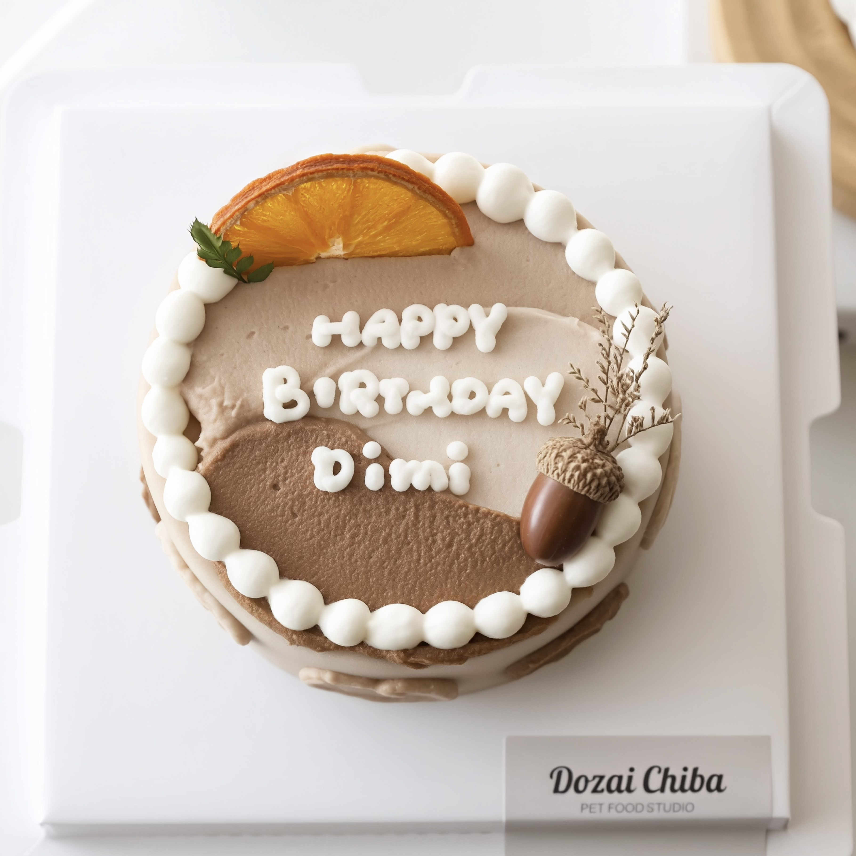 ꒰ 棕色系꒱ 橙光森林