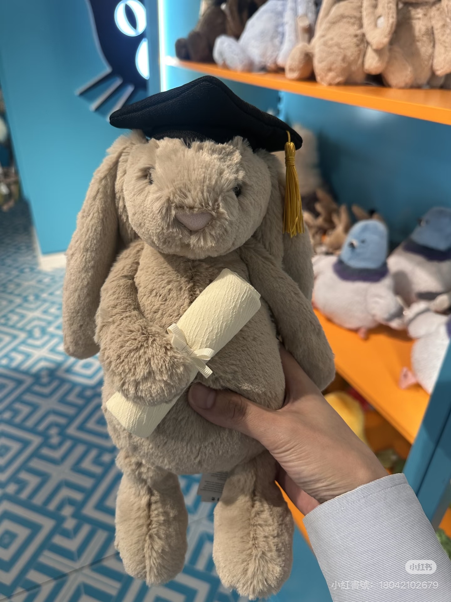 JELLY CAT新款畢業兔仔可自訂刻名