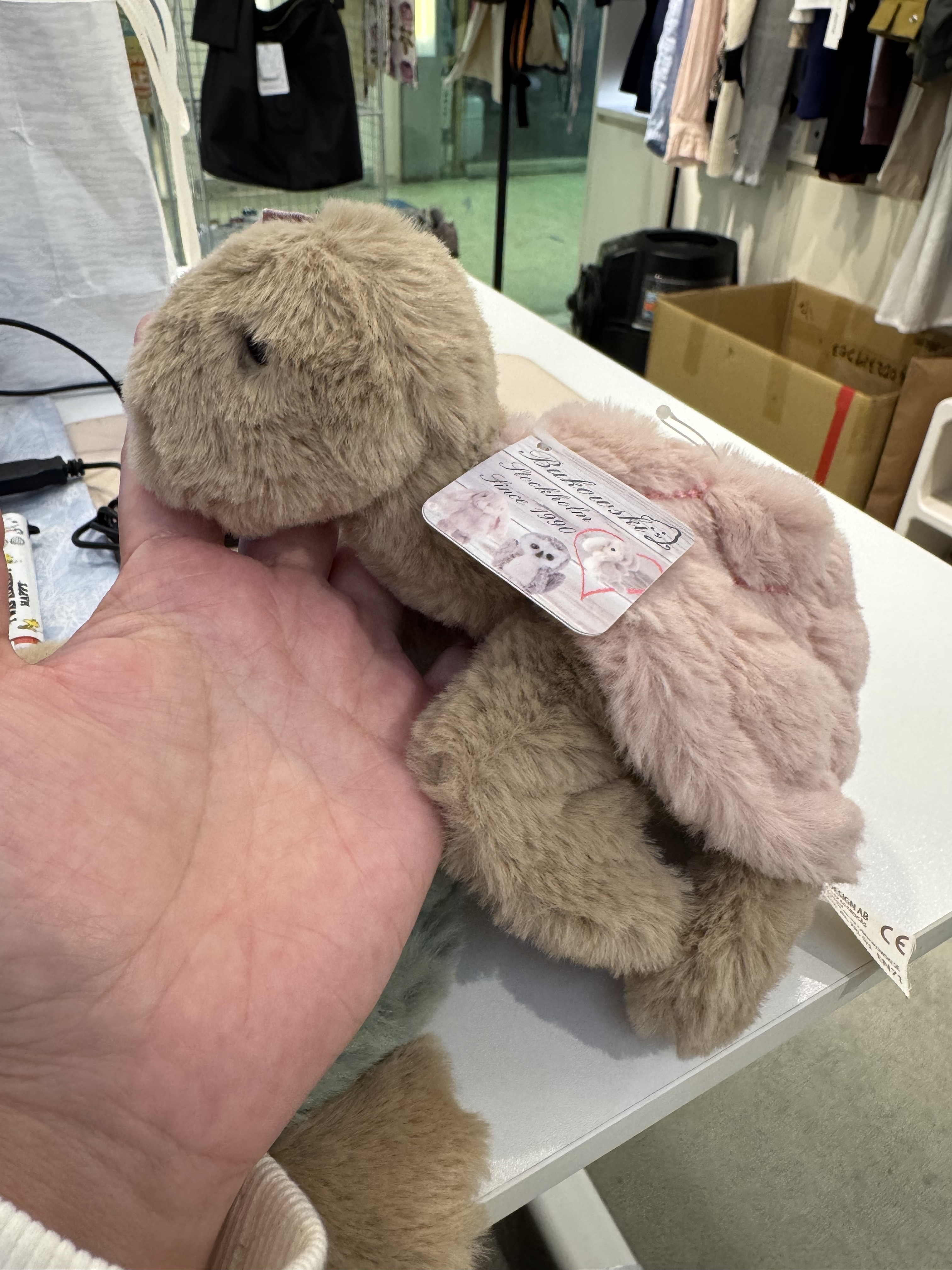 瑞典品牌烏龜一對