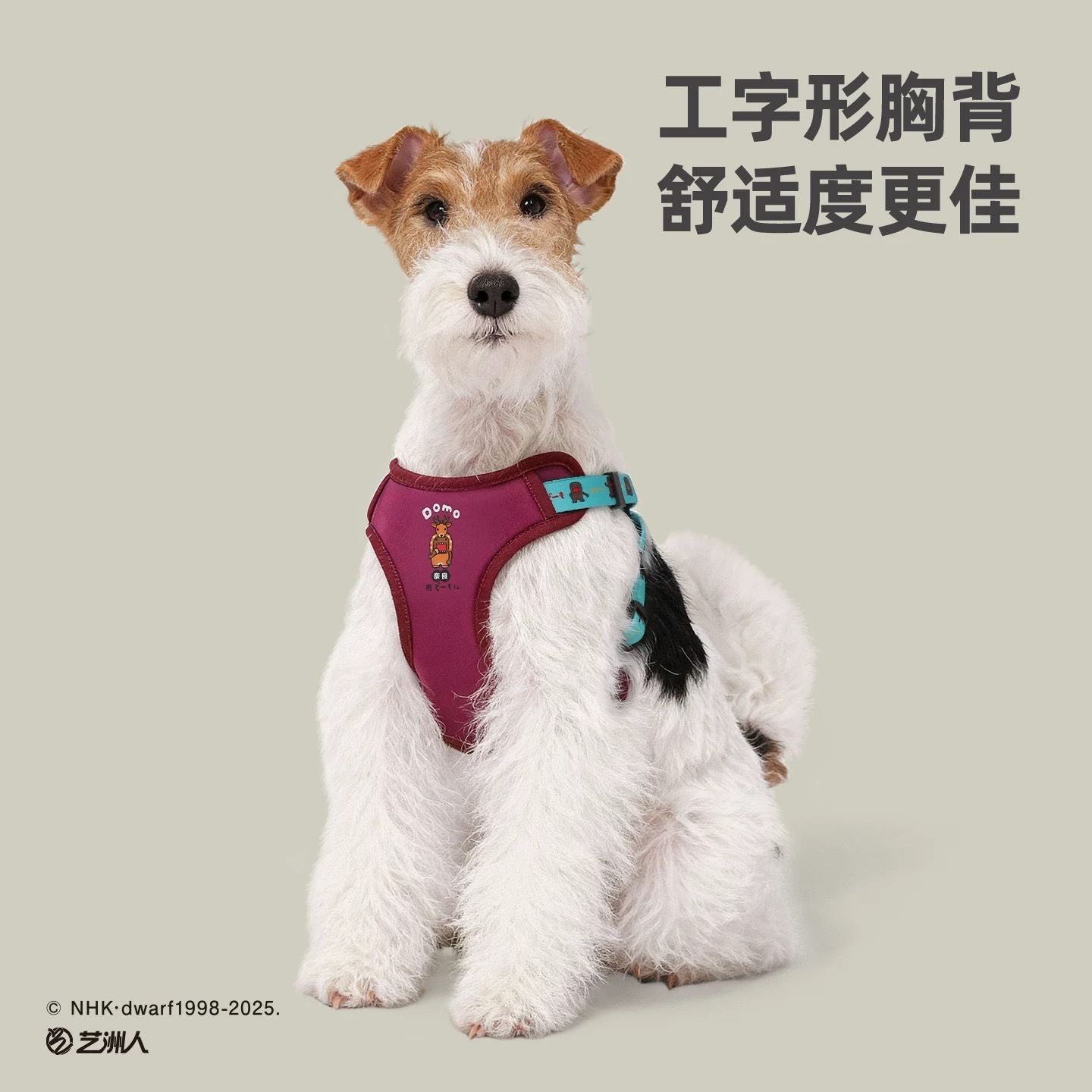 Hoopet×多摩君联名 狗狗牵引绳胸背带