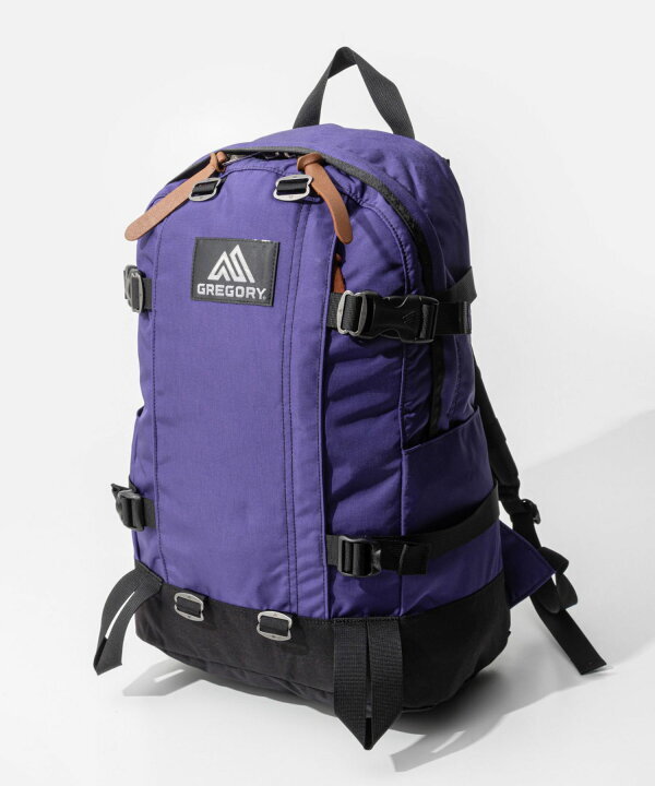 Gregory All Day V2.1 Backpack - Ultra Violet 24L