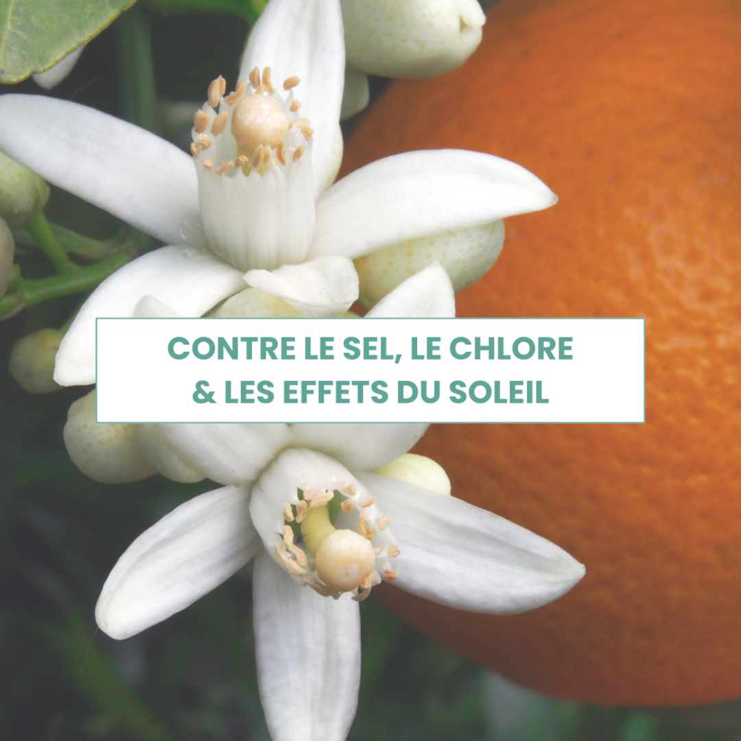 1MS0329-052 [MON SHAMPOING] The Solar Kit (EU)