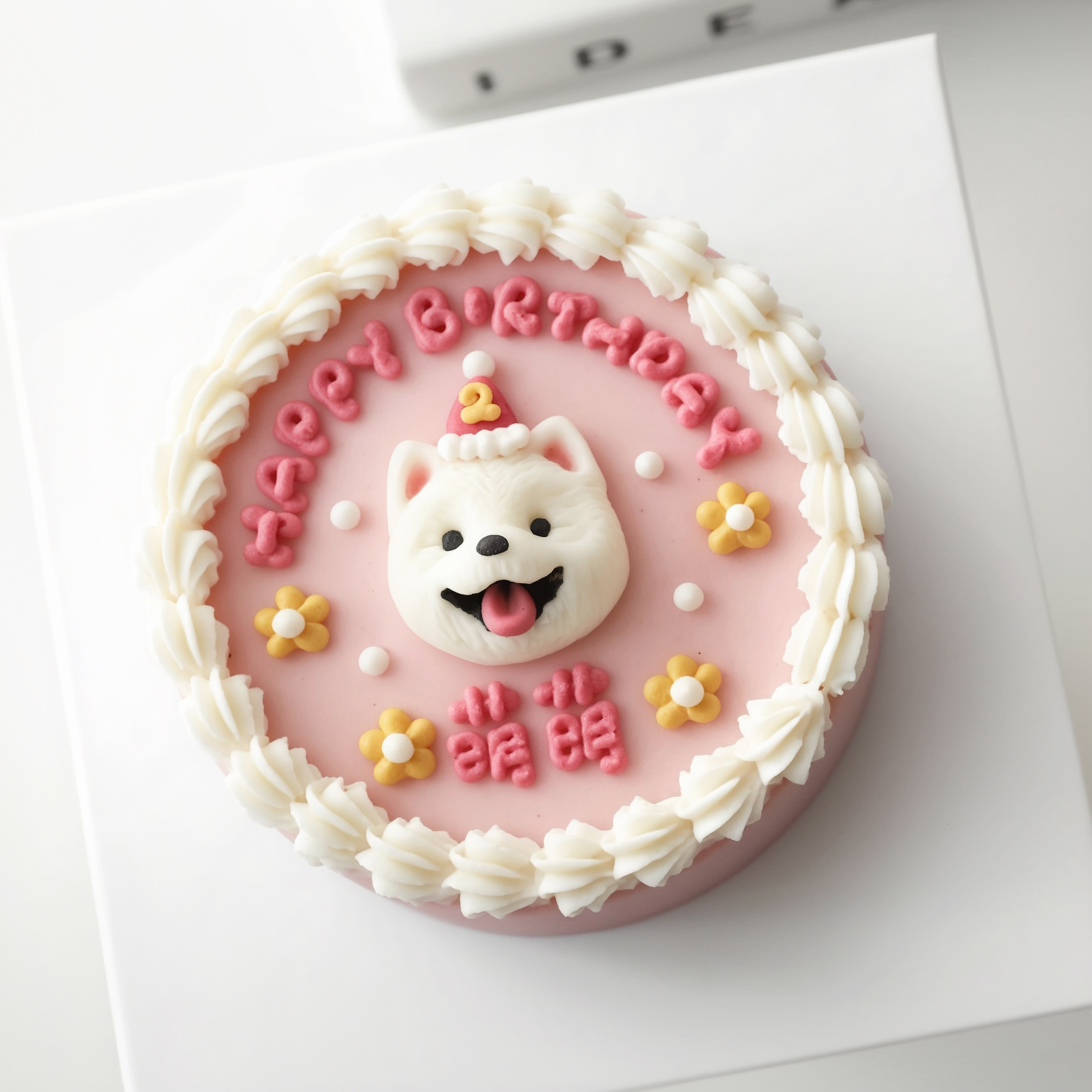 ꒰ 粉紅色系꒱ 春日朵朵