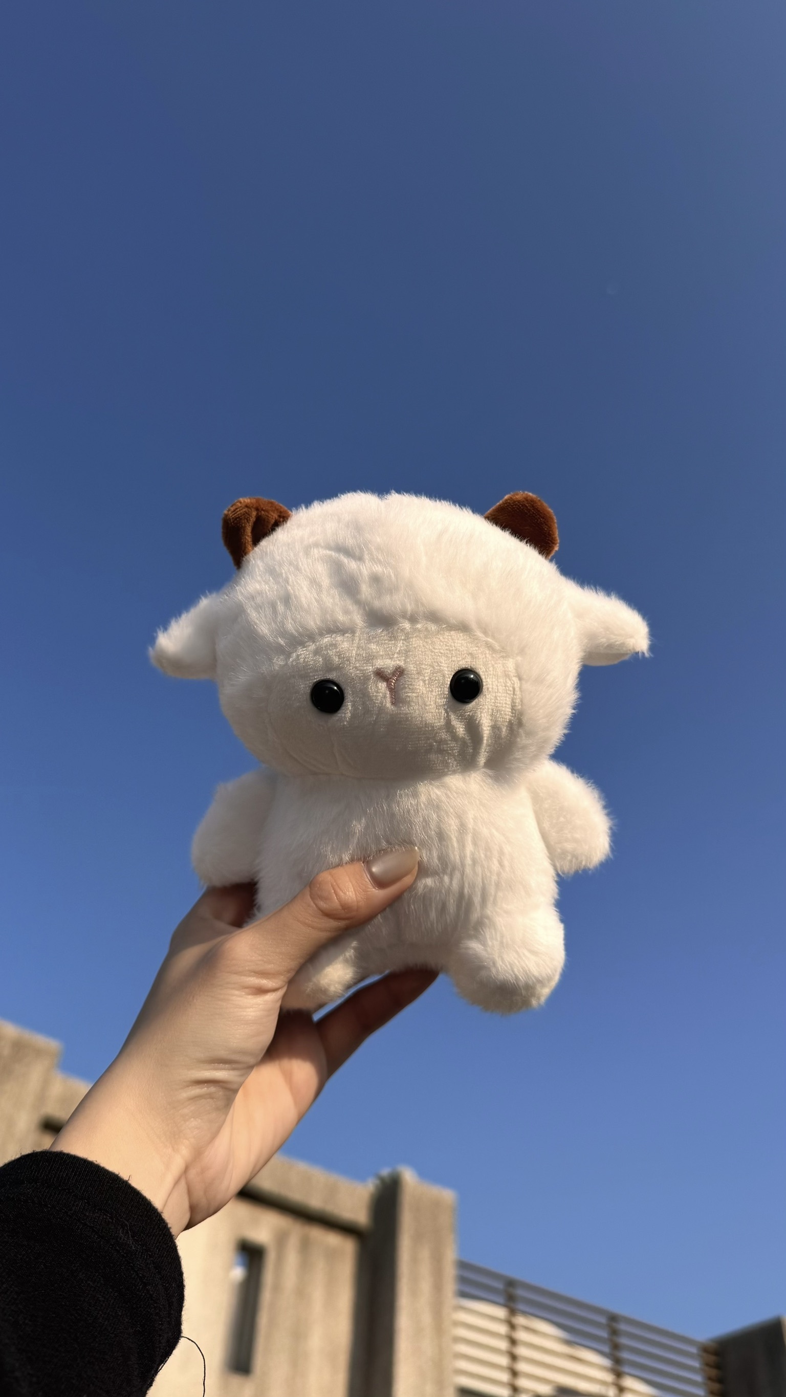 wadorn 陪伴學習娃娃 玩偶 毛絨公仔