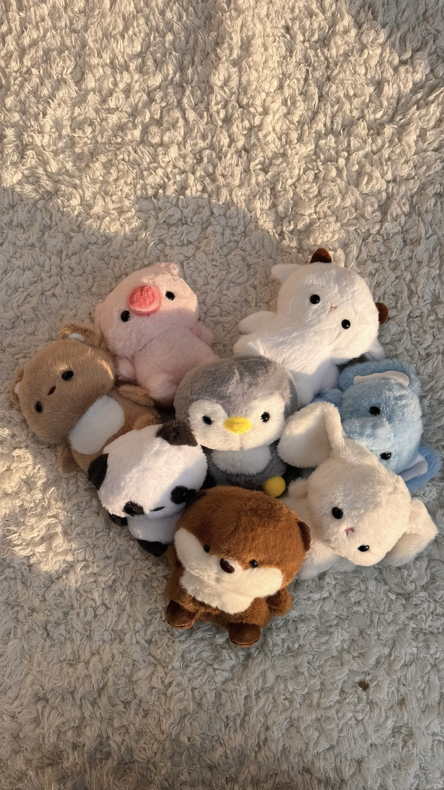 wadorn 陪伴學習娃娃 玩偶 毛絨公仔