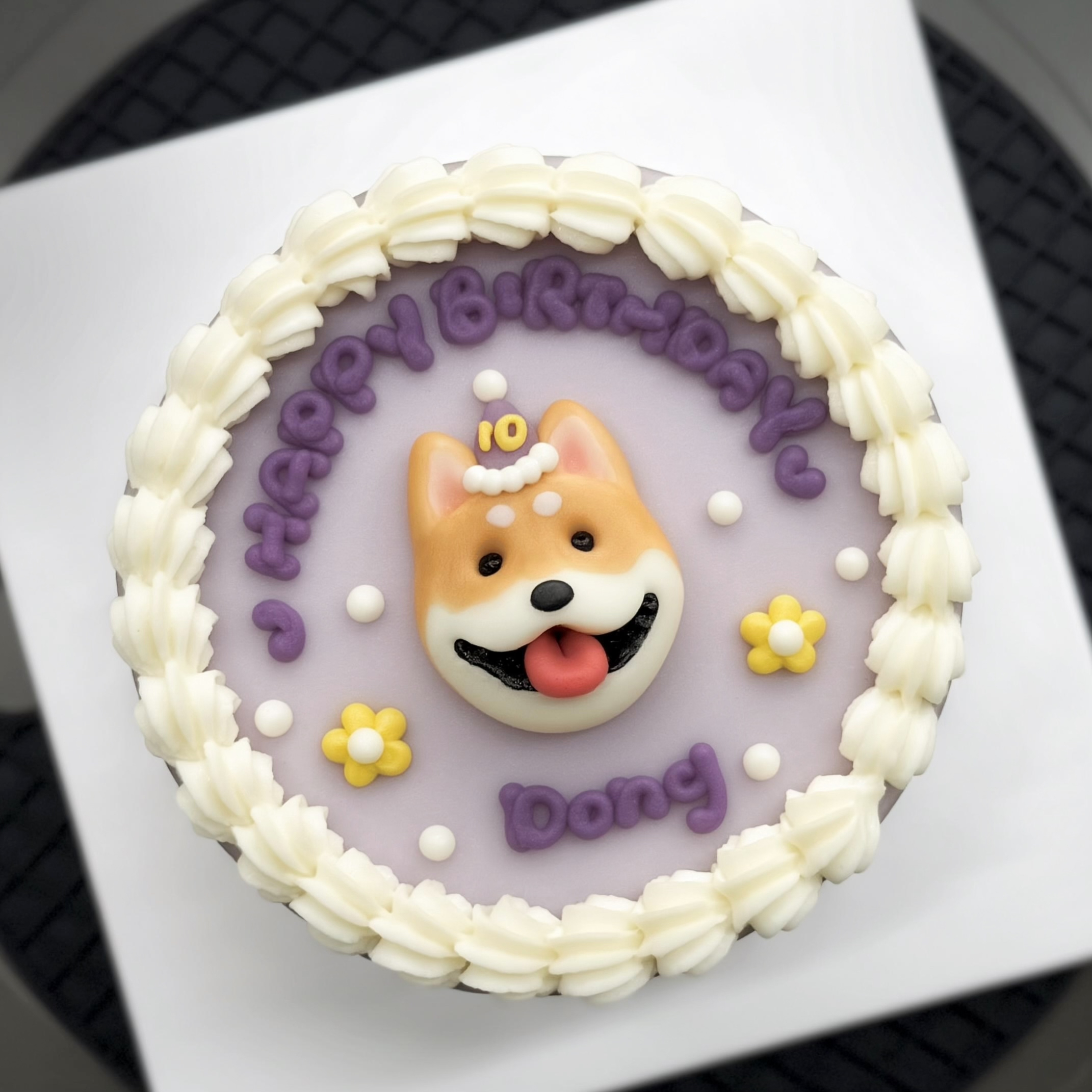 ꒰ 紫色系꒱ 春日朵朵