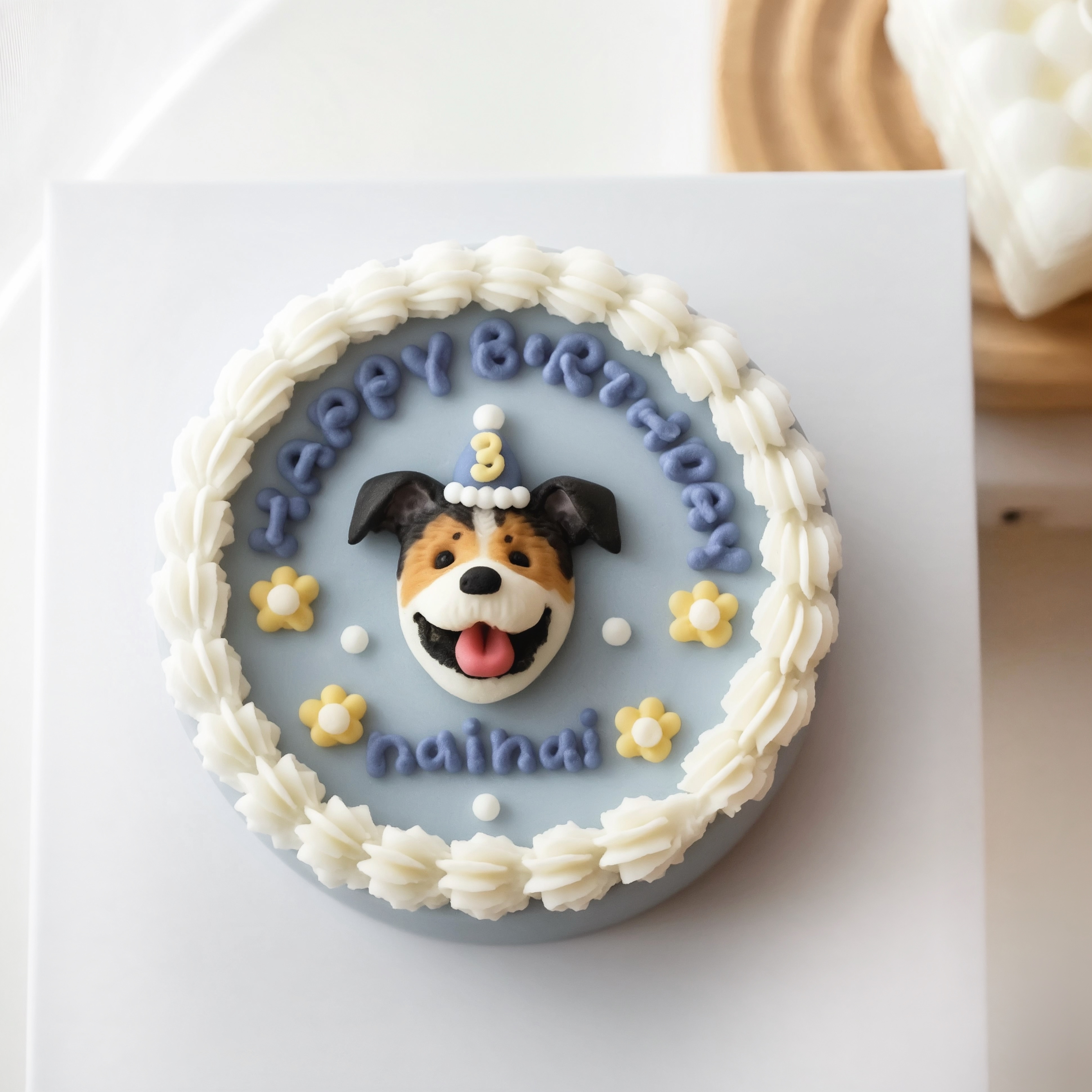 ꒰ 藍色系꒱ 春日朵朵