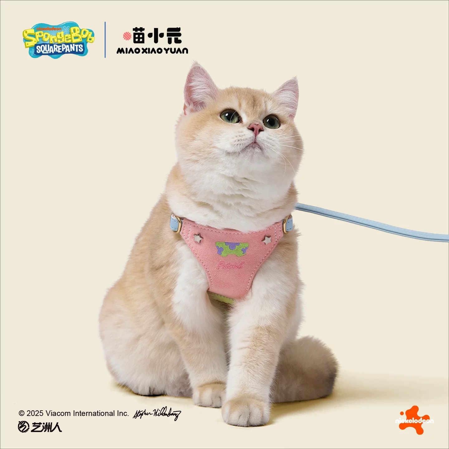 喵小元 海绵宝宝联名 宠物胸背套装 防挣脱外出猫狗绳