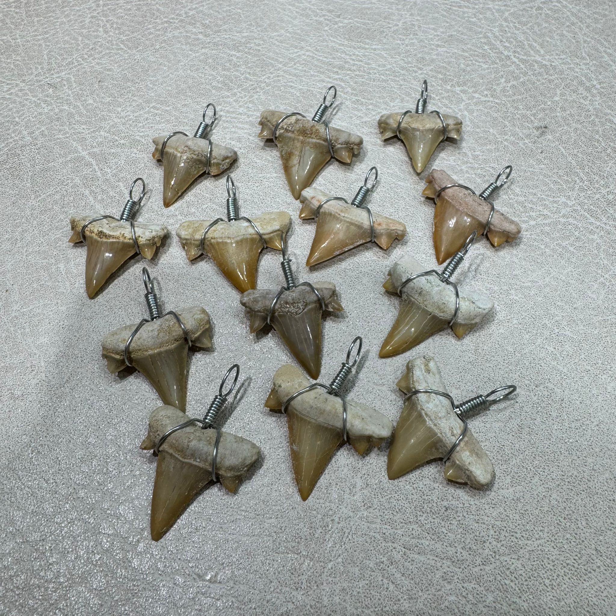 HKAG0328-046 鯊魚牙化石(款式隨機) (A46)