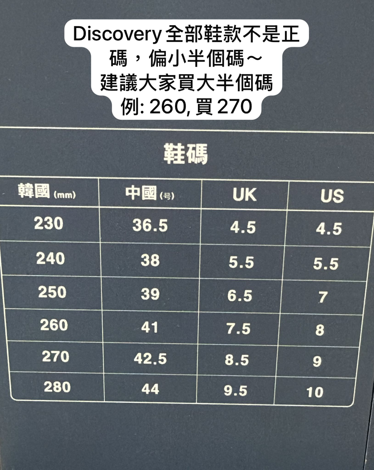 XI176 DISCOVERY 淨色綁帶波鞋
