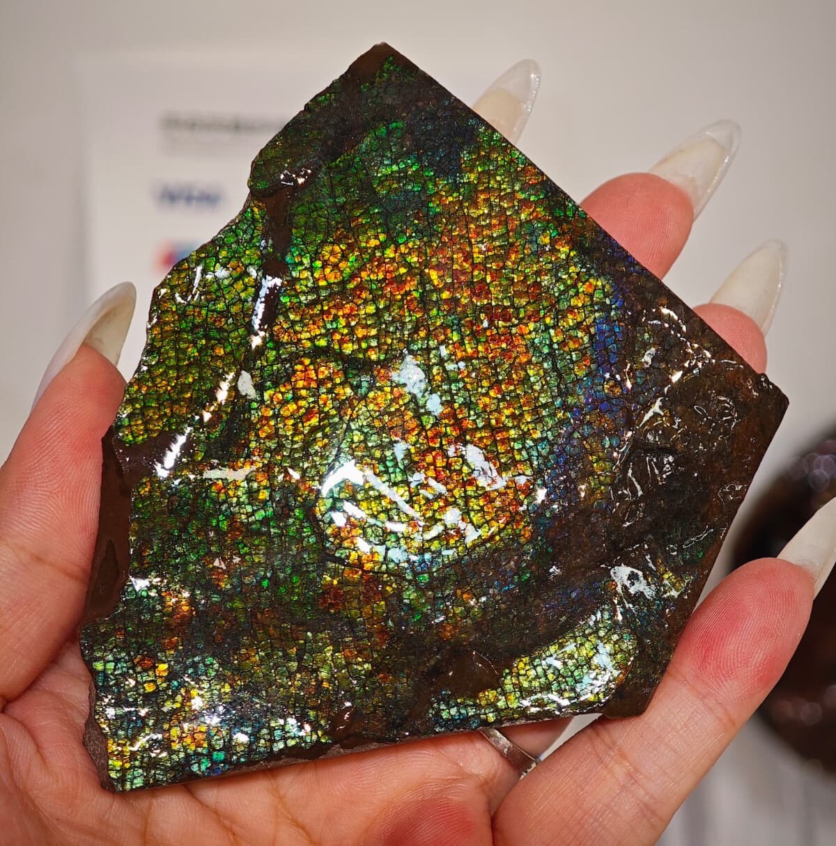 HKAG0328-047 龍紋多色擺件 (鏡頭展示與實物有色差，以實物為準) (A47)