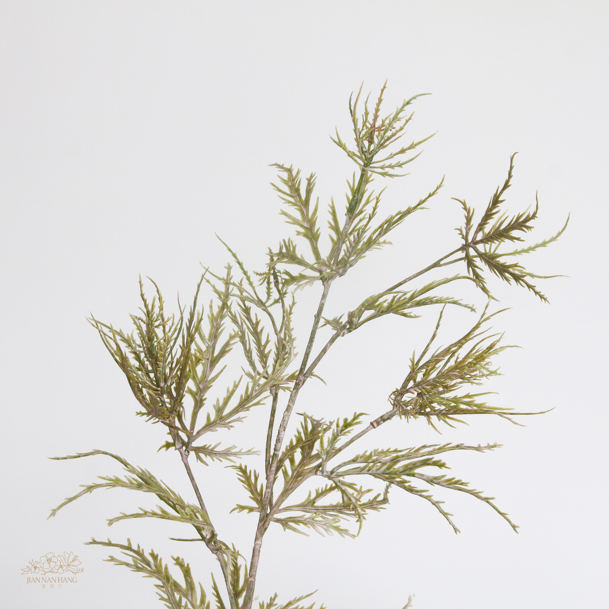 人造葉  杜松子葉