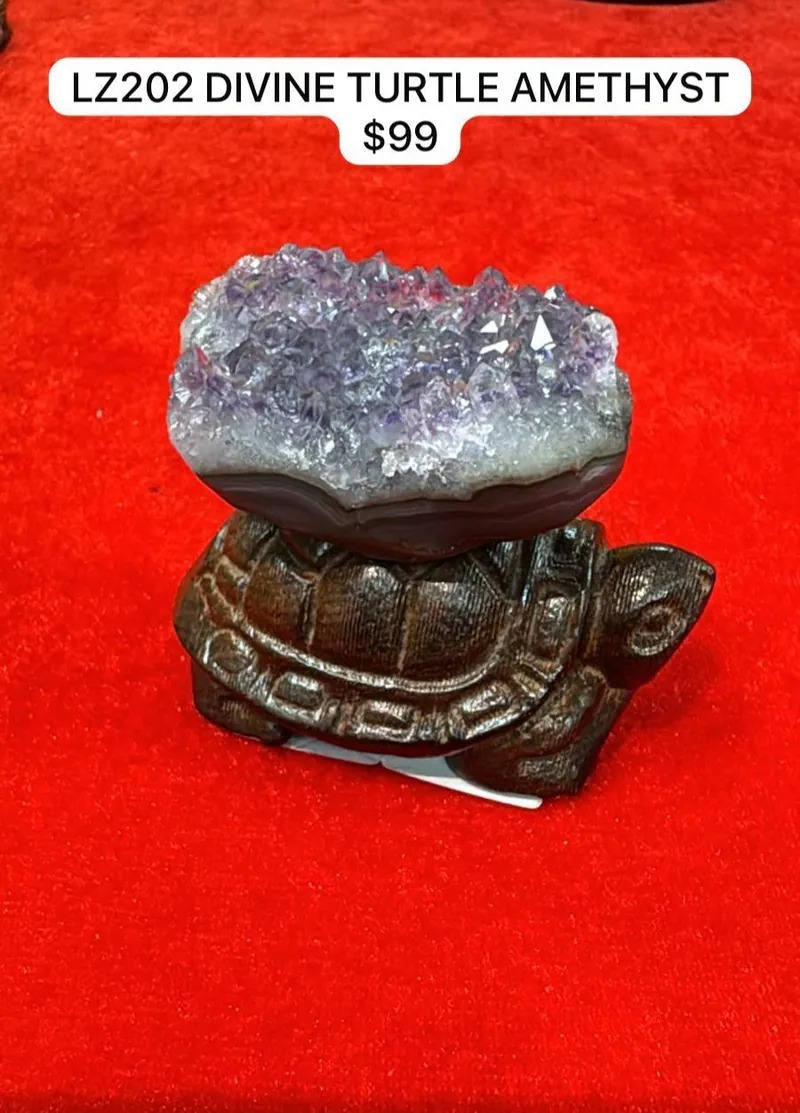 LZ202 DIVINE TURTLE AMETHYST