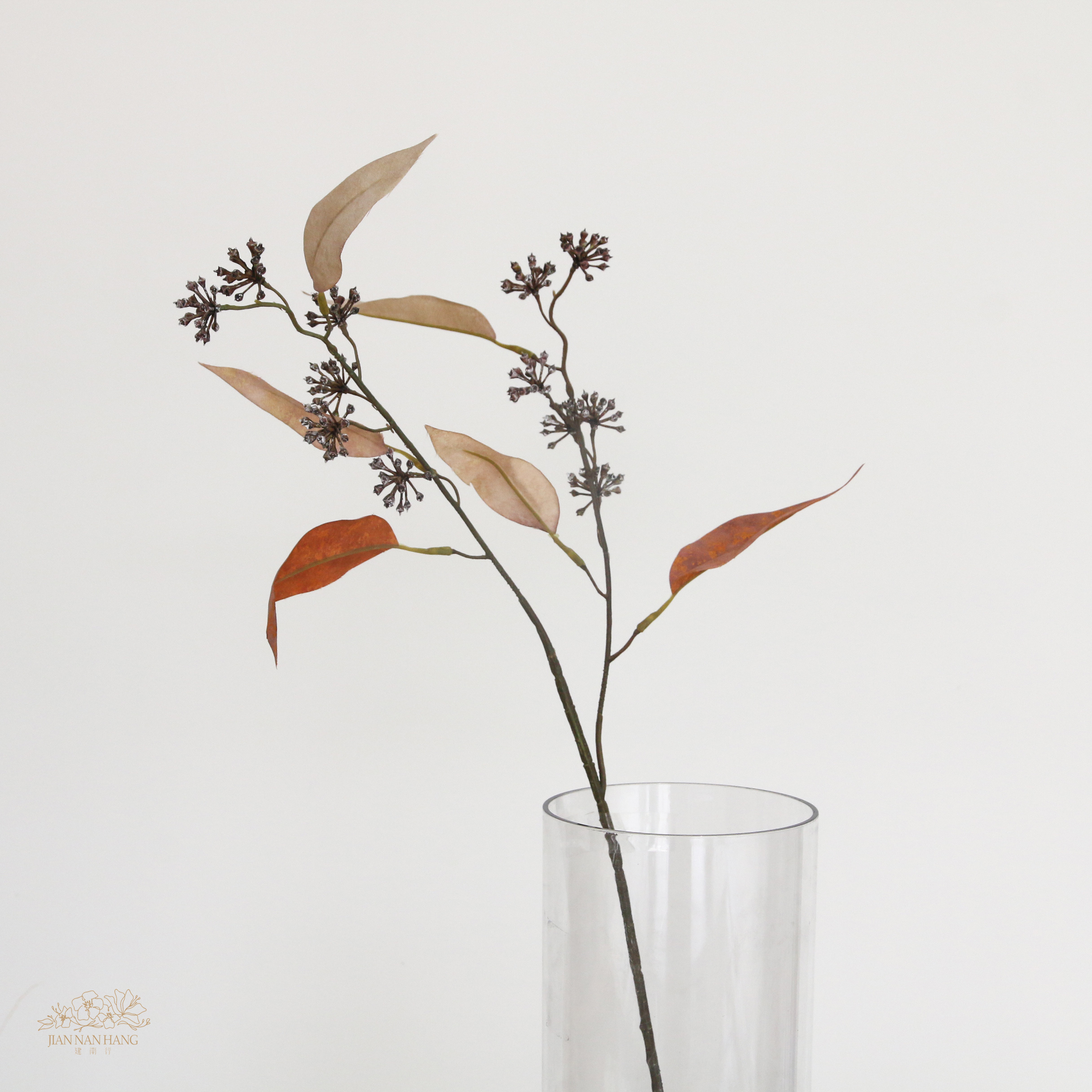 人造果 乾燥韭菜果實