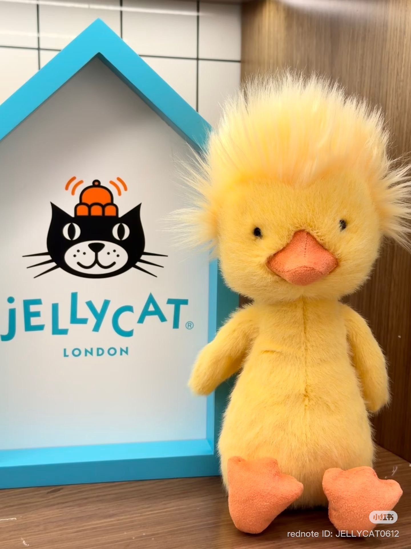 Jelly Cat 炸毛小雞 超限量