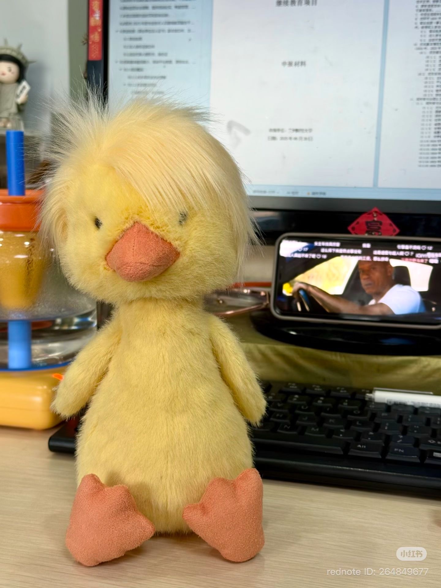 Jelly Cat 炸毛小雞 超限量